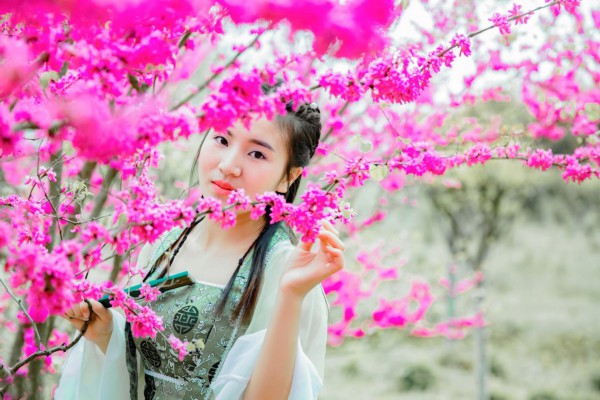 风光里喝茶，武汉东湖游艇带你感受慢时光